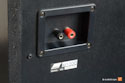 Fostex RM-1000 Coaxial Monitors