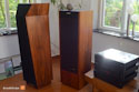 Backes & Mller BM20 active speaker with rosewood vaneer