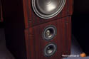 Dynaudio MSP 200